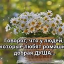 ���� �����, ���������, 41 ��� - ��������� 15 ������� 2020 � ������ ��������