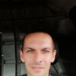 �������, �����, 46 ���