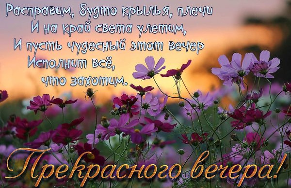   ,    . - 26  2021  18:55