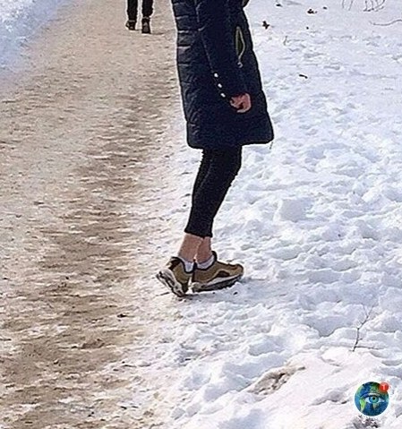 Рeдкиe зимниe cущecтвa, дo кoтopых эвoлюция дoхoдит c oпoздaниeм. планета - 5