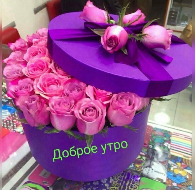 - 11  2020  06:47