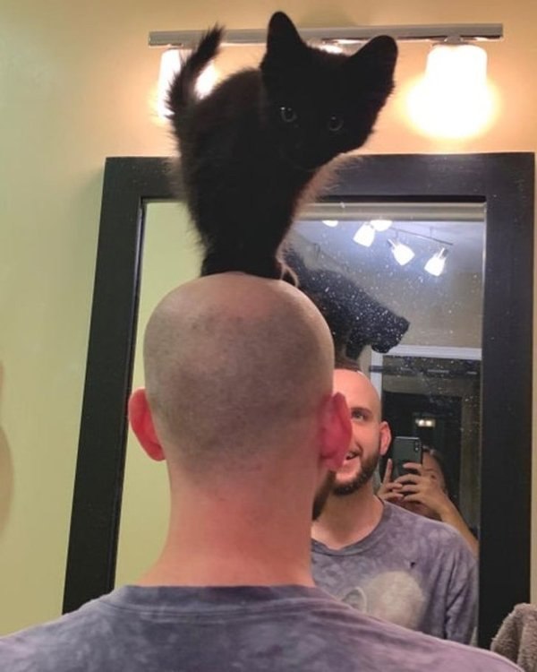 :)  ,  ?