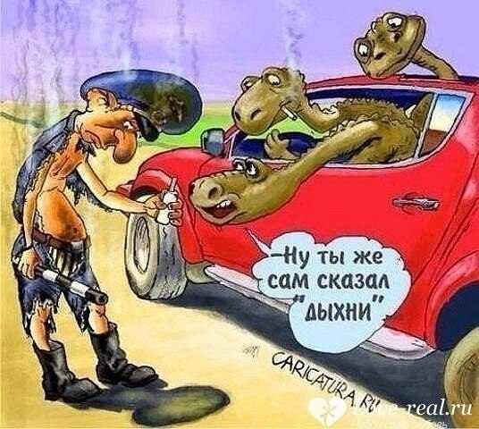   -   1 - 16  2021  13:03