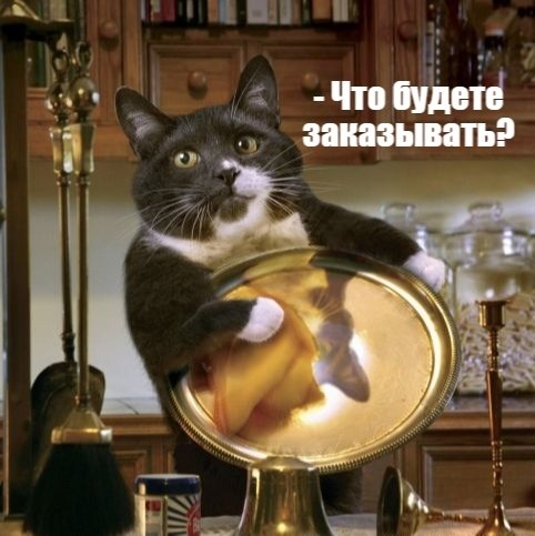       - 8  2021  18:12