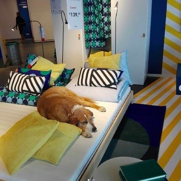   IKEA       .  - 3