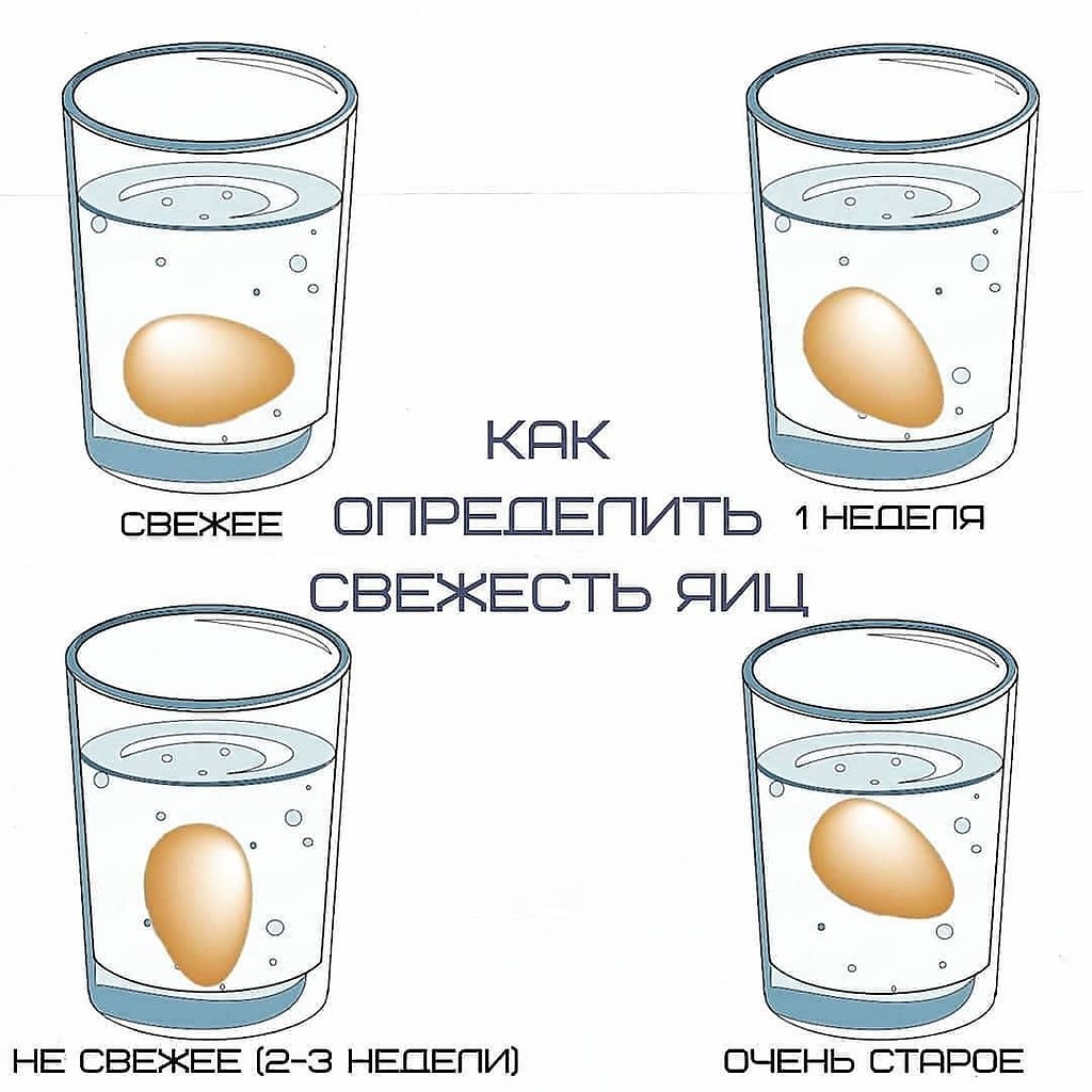 Свежее яйцо. Как определить свежесть яйца. Свежесть яиц в воде проверить. Определение свежести яиц.