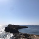  Vladimir, , 74  -  14  2020    