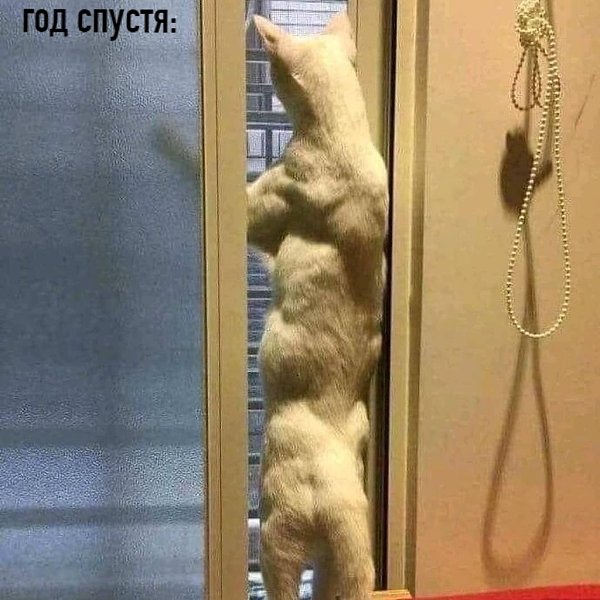        - 2