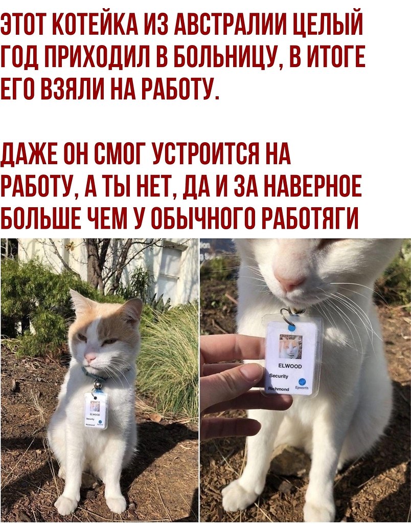  - 28  2020  21:05