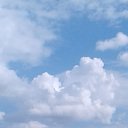 ���� �������, ������, 49 ��� - ��������� 29 ������� 2020 � ������ ���� ����������