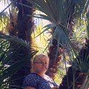 ���� ������, ������ - ��������� 4 ������� 2020 � ������ ���� ����������