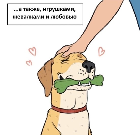 �� ������� ������� ��� ������� �� ��� - 3