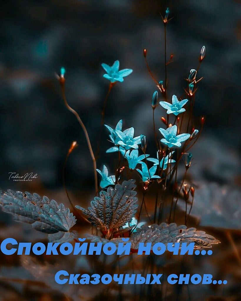   ,    . - 15  2021  21:49 - 4