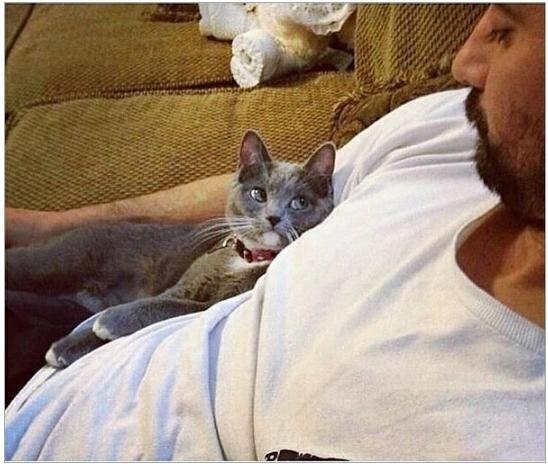         ,      ,     !