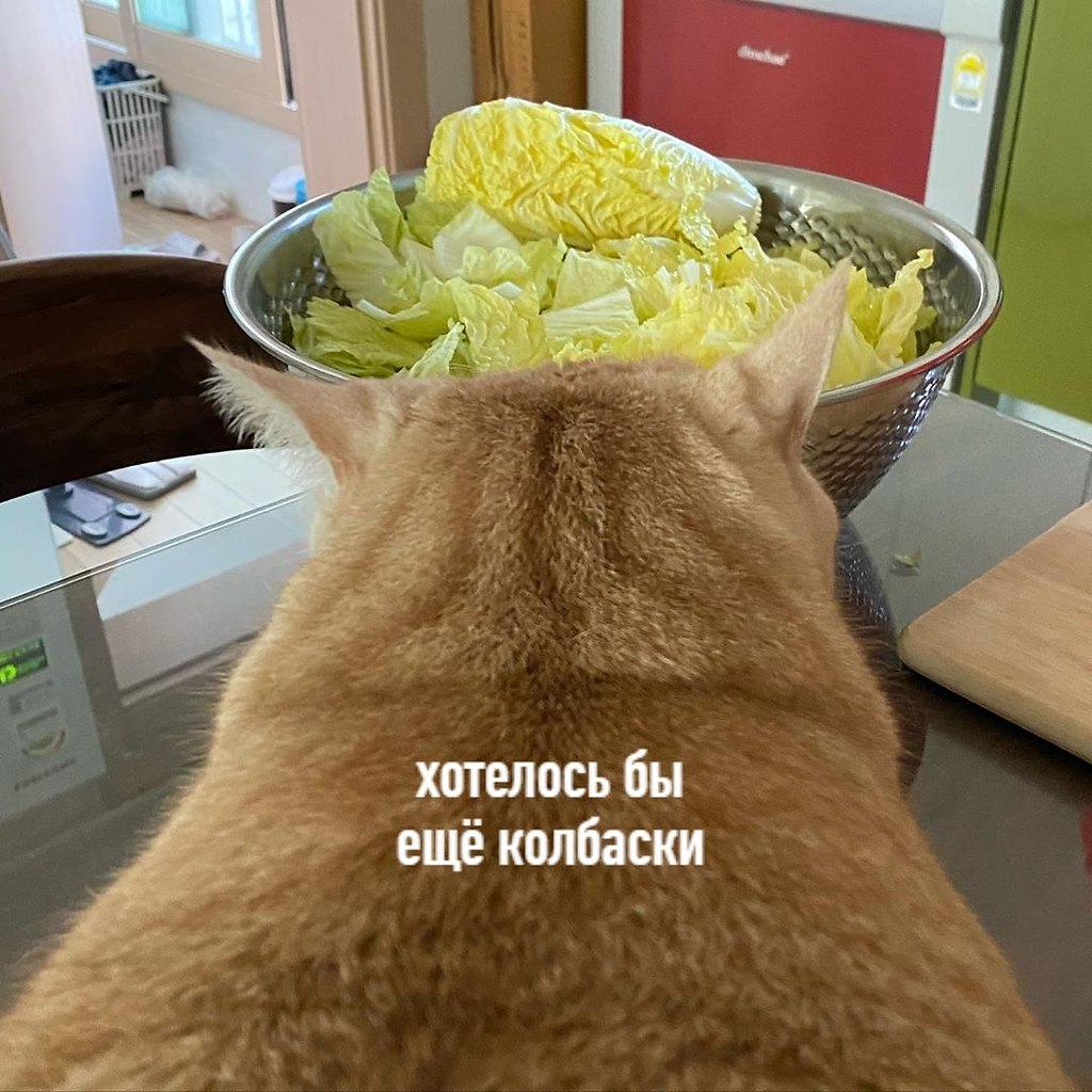 ,    ,  - 3