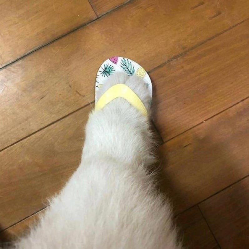  -    - 8