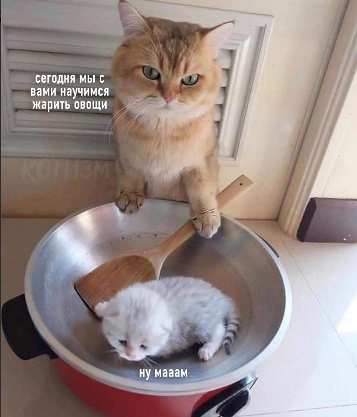     ,      