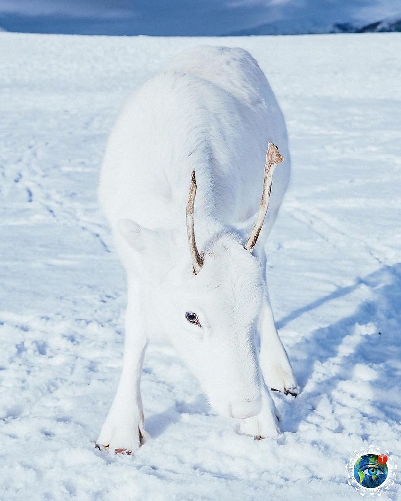 ae e oe a oe cea, ope. ope oa a a oee: ceep  ...