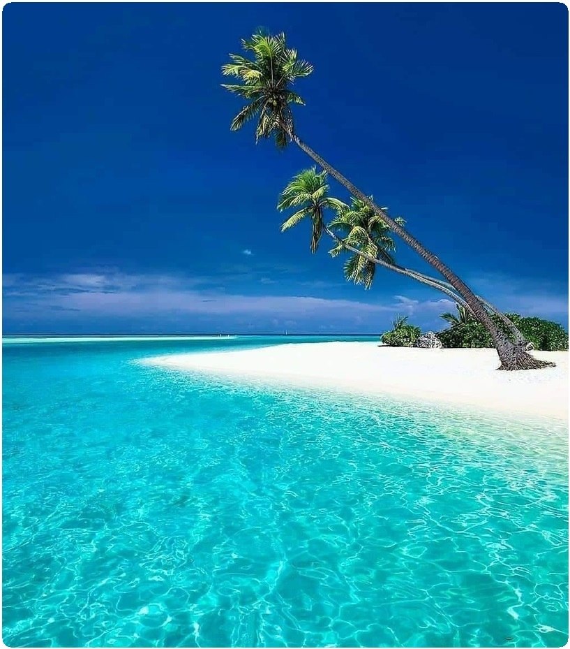   Maldives. - ,   ? -    ,  !