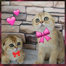 �����, ������������