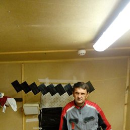 ���� ������, �������, 53 ���� - ��������� 4 ������ 2021