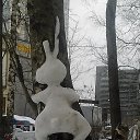 ���� ������, �����-���������, 54 ���� - ��������� 14 ������� 2020 � ������ ���� ����������