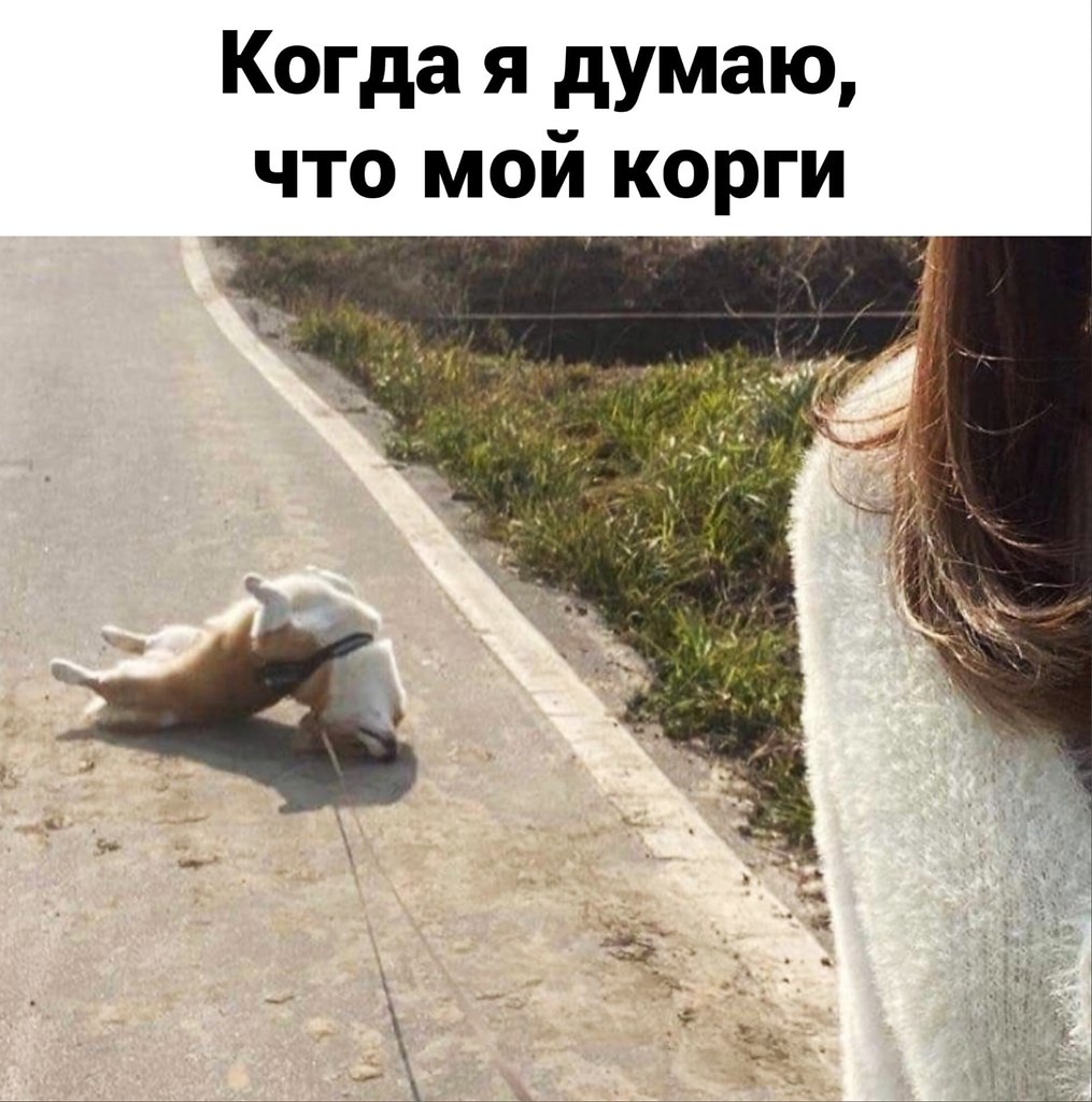  -   ))