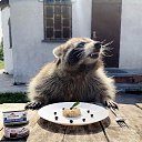 ���� ���������, �����-��������� - ��������� 12 �������� 2020 � ������ ������ ��������