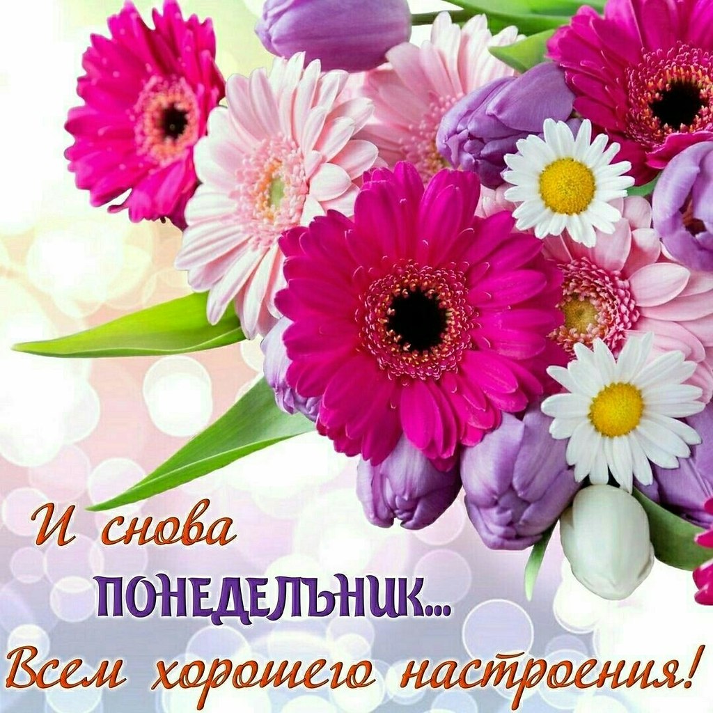  ,    . - 11  2021  11:04