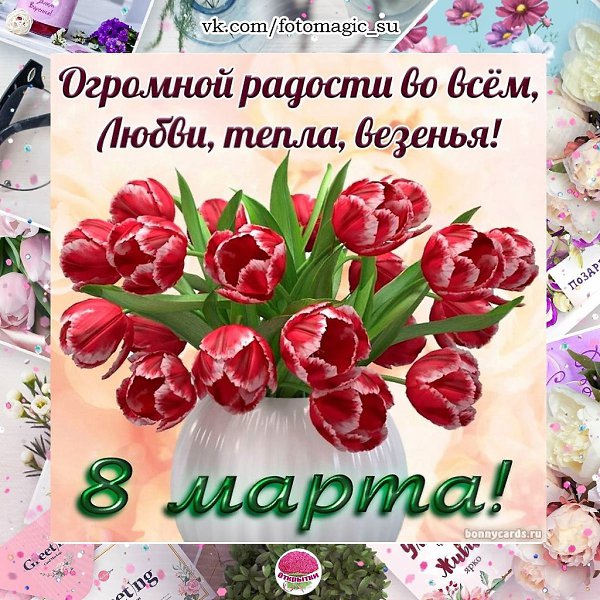   ,    . - 7  2021  21:17 - 9