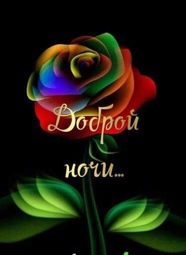   ,    . - 7  2021  21:36