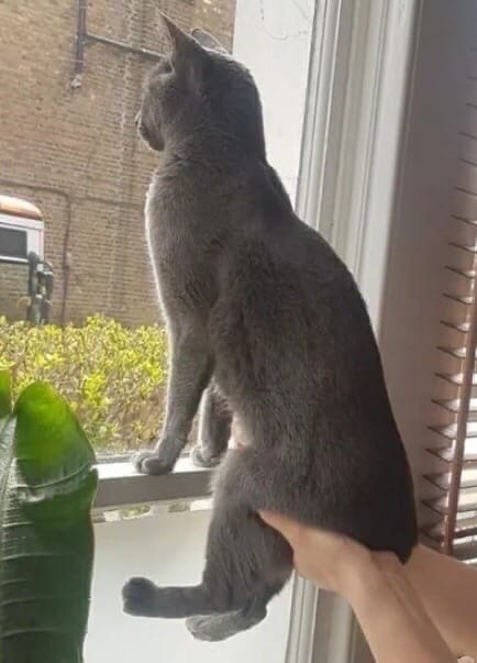  ,             ?! - 2