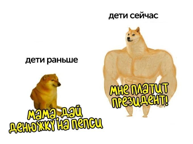   - 19  2020  14:09