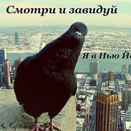 Maksim, , 43 