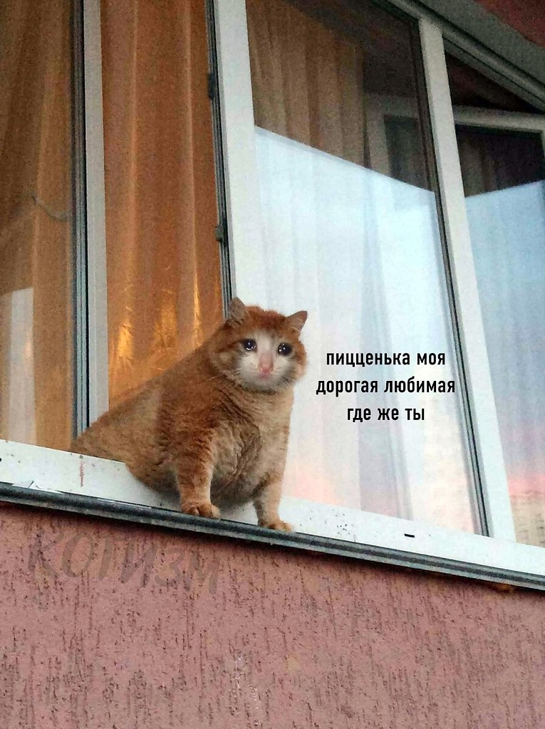   5    :