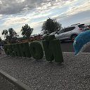 ������ ������ �� ������� �������� ����������� �� �����-������������� ��������� ������ 2020�