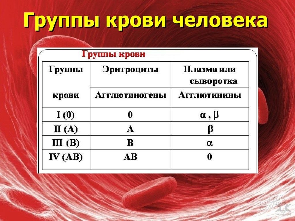 Охотник или паинька: как определить его сексуальный темперамент по группе крови