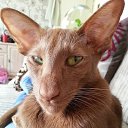 ���� ����, ���������, 47 ��� - ��������� 30 ������� 2020