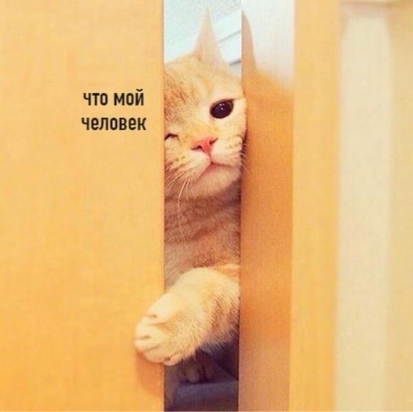   - 3