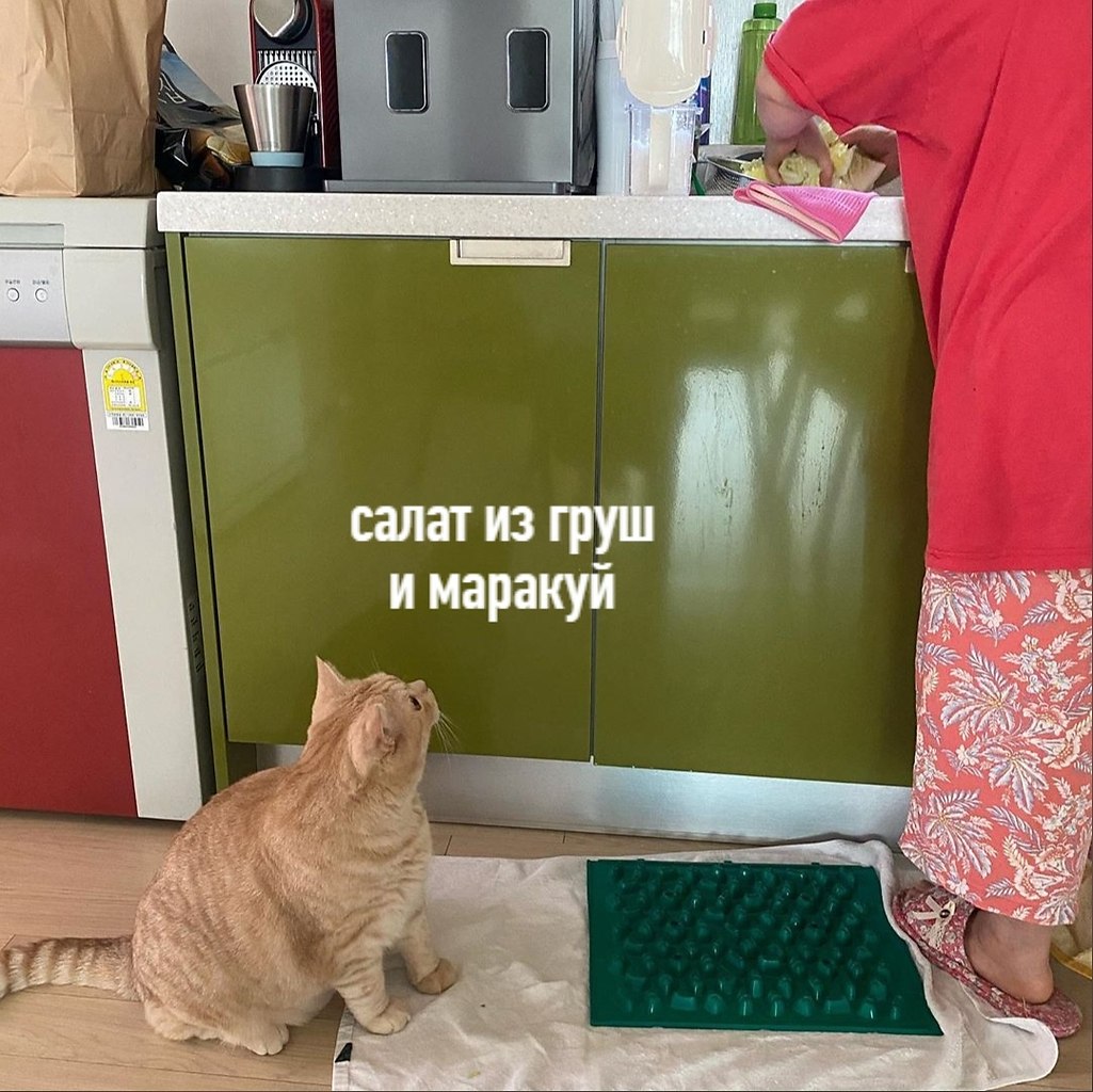 ,    ,  - 2