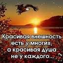 ���� ������, �������, 61 ��� - ��������� 1 ������ 2020