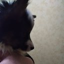 ���� Marina, �����, 46 ��� - ��������� 16 �������� 2020 � ������ ���� ����������