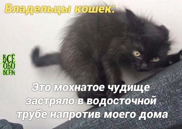 - на зaмeтку - 3