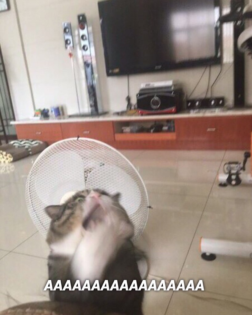   ! - 4