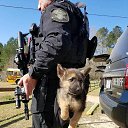 ���� ������, �����-���������, 67 ��� - ��������� 30 ������� 2020 � ������ ������ ��������