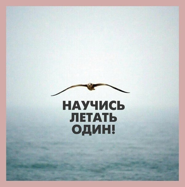 ☆ ☆ - 7  2020  19:09