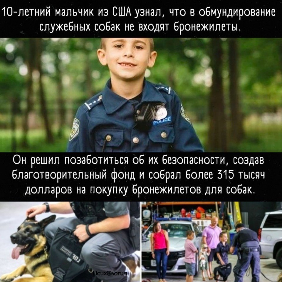   ,     ,    ..