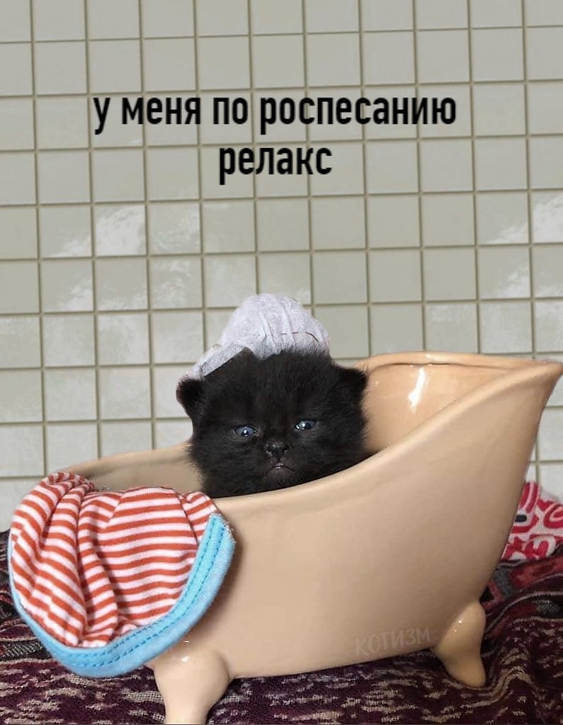  - 22  2020  18:58 - 2