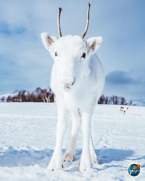 ae e oe a oe cea, ope. ope oa a a oee: ceep  ... - 5