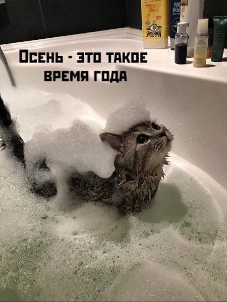       - 1  2020  18:34